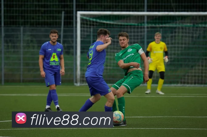 多媒体互动体验